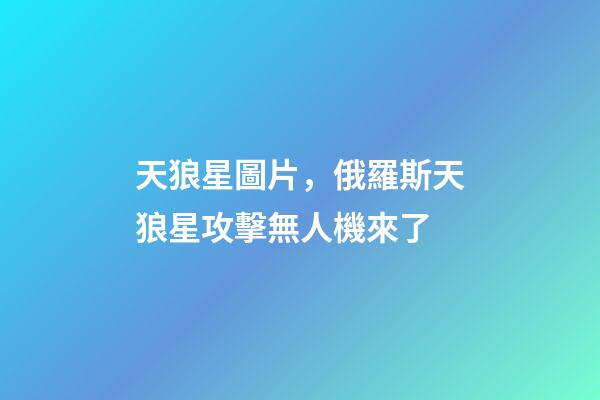 天狼星圖片，俄羅斯天狼星攻擊無人機來了-第1張-觀點-玄機派