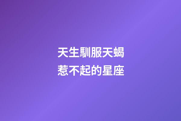 天生馴服天蝎惹不起的星座-第1張-星座運勢-玄機派