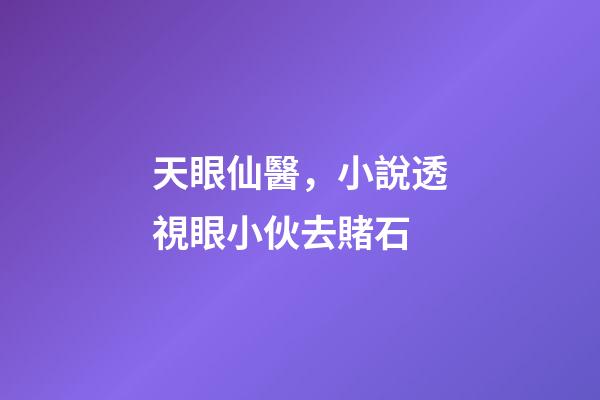 天眼仙醫，小說透視眼小伙去賭石-第1張-觀點-玄機派