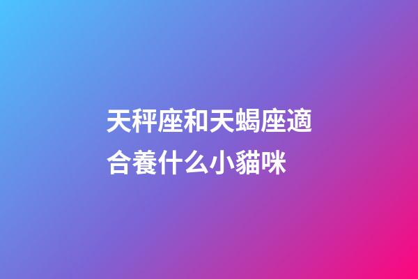 天秤座和天蝎座適合養什么小貓咪