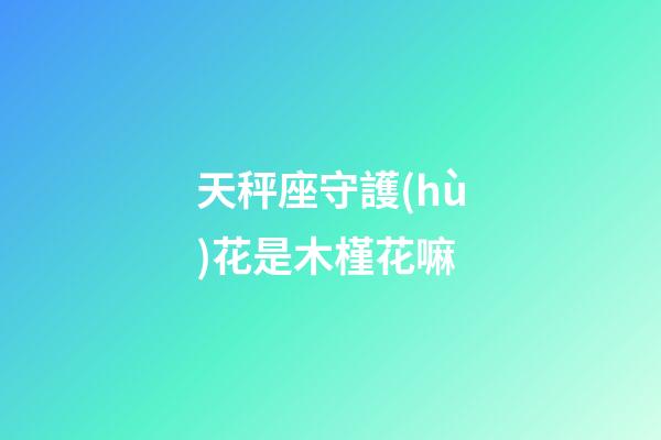 天秤座守護(hù)花是木槿花嘛-第1張-星座運(yùn)勢(shì)-玄機(jī)派