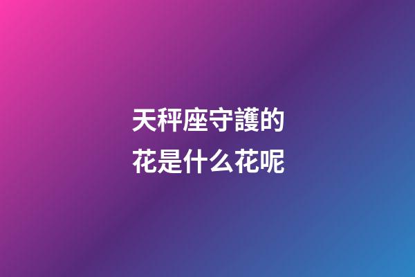 天秤座守護的花是什么花呢