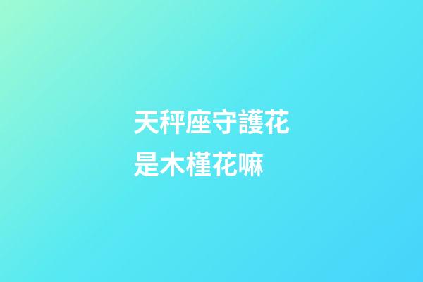 天秤座守護花是木槿花嘛