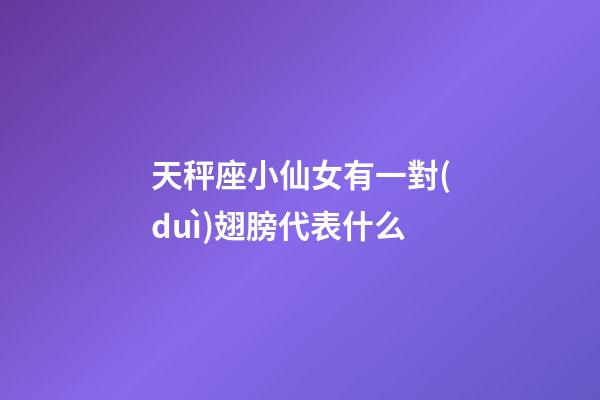 天秤座小仙女有一對(duì)翅膀代表什么