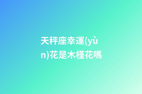 天秤座幸運(yùn)花是木槿花嗎