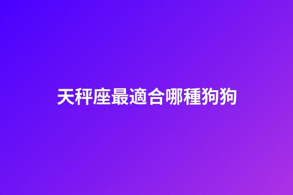 天秤座最適合哪種狗狗-第1張-星座運勢-玄機派