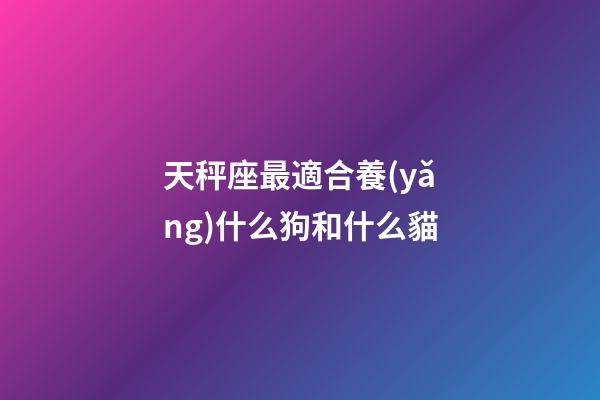天秤座最適合養(yǎng)什么狗和什么貓-第1張-星座運勢-玄機派