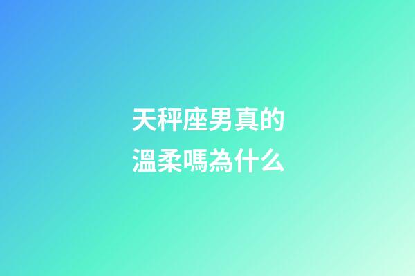 天秤座男真的溫柔嗎為什么-第1張-星座運(yùn)勢(shì)-玄機(jī)派