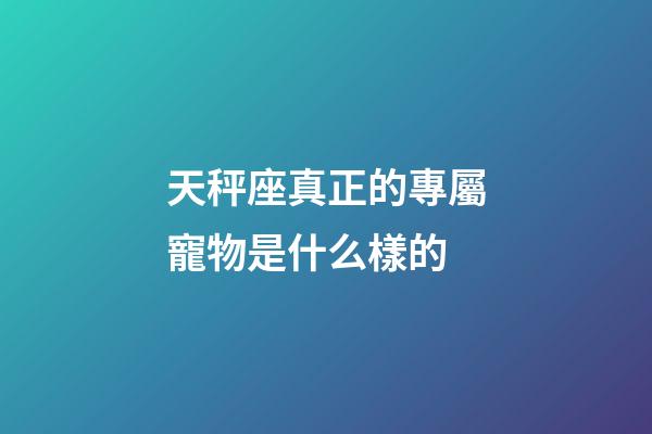 天秤座真正的專屬寵物是什么樣的