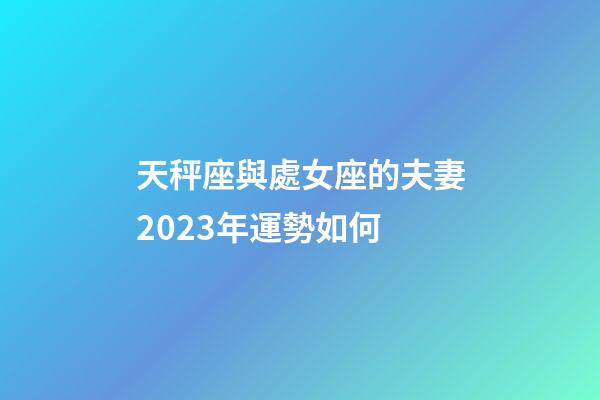 天秤座與處女座的夫妻2023年運勢如何-第1張-星座運勢-玄機派