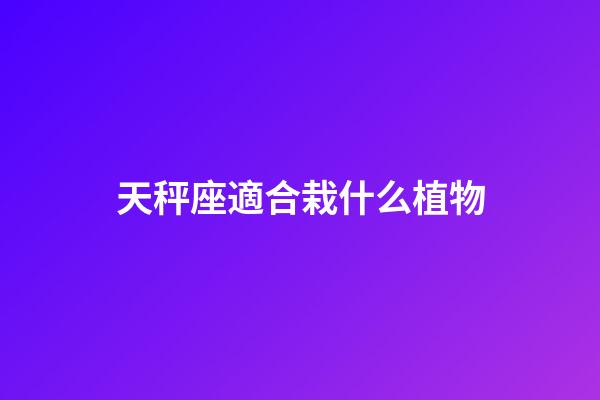 天秤座適合栽什么植物-第1張-星座運勢-玄機派