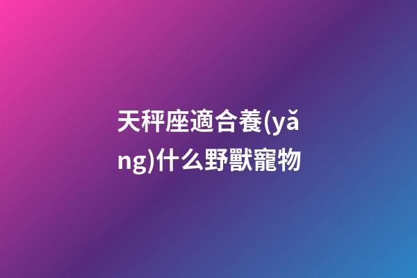 天秤座適合養(yǎng)什么野獸寵物