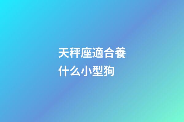 天秤座適合養什么小型狗-第1張-星座運勢-玄機派
