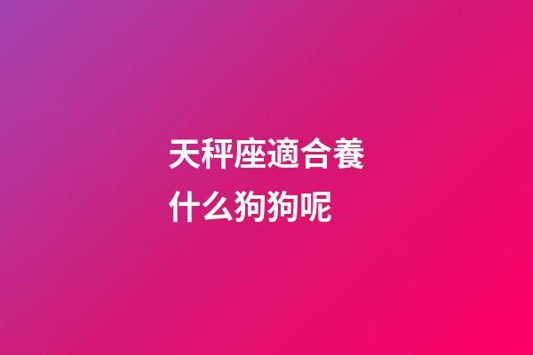 天秤座適合養什么狗狗呢-第1張-星座運勢-玄機派