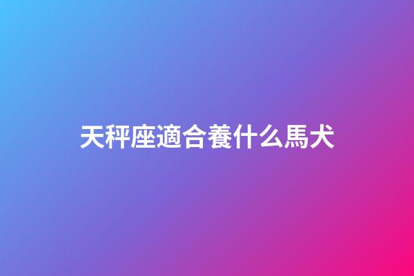 天秤座適合養什么馬犬-第1張-星座運勢-玄機派