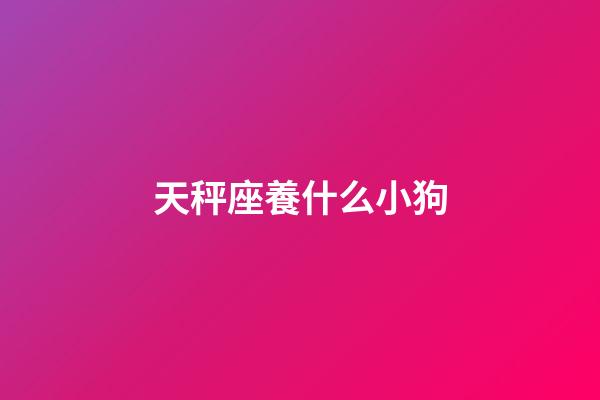 天秤座養什么小狗-第1張-星座運勢-玄機派