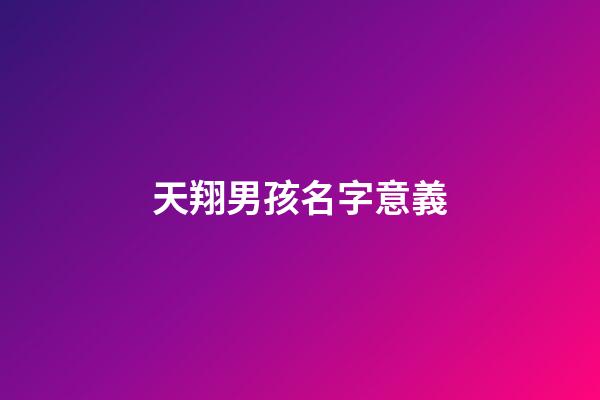 天翔男孩名字意義(天翔這個(gè)名字好嗎)-第1張-男孩起名-玄機(jī)派