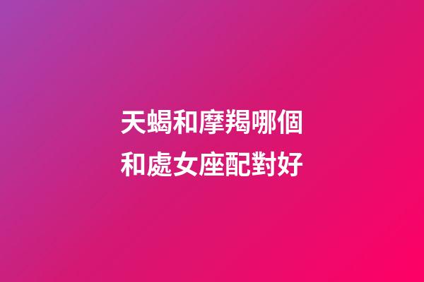 天蝎和摩羯哪個和處女座配對好-第1張-星座運勢-玄機派
