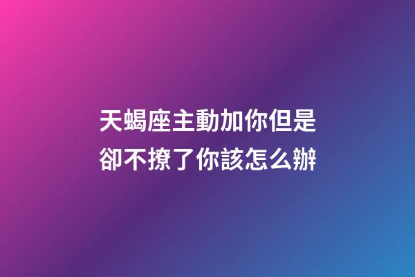 天蝎座主動加你但是卻不撩了你該怎么辦