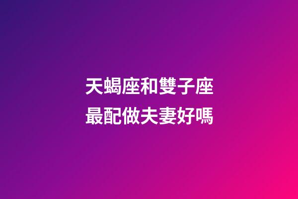 天蝎座和雙子座最配做夫妻好嗎-第1張-星座運勢-玄機派