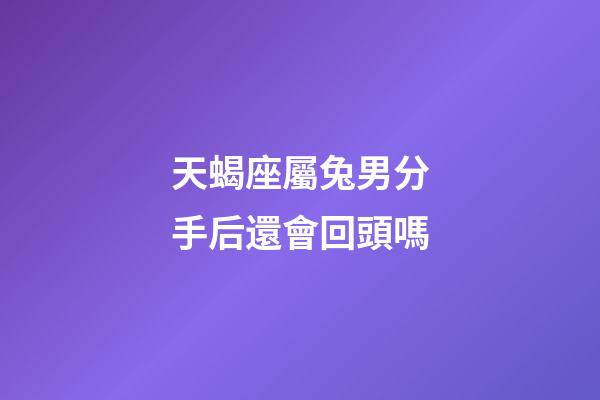 天蝎座屬兔男分手后還會回頭嗎-第1張-星座運勢-玄機派