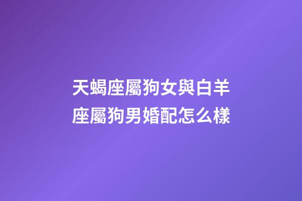 天蝎座屬狗女與白羊座屬狗男婚配怎么樣-第1張-星座運勢-玄機派