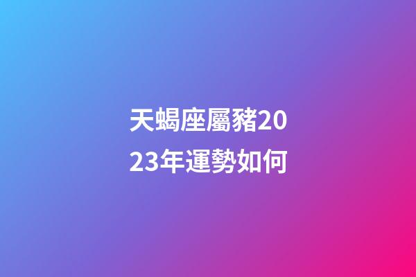天蝎座屬豬2023年運勢如何-第1張-星座運勢-玄機派