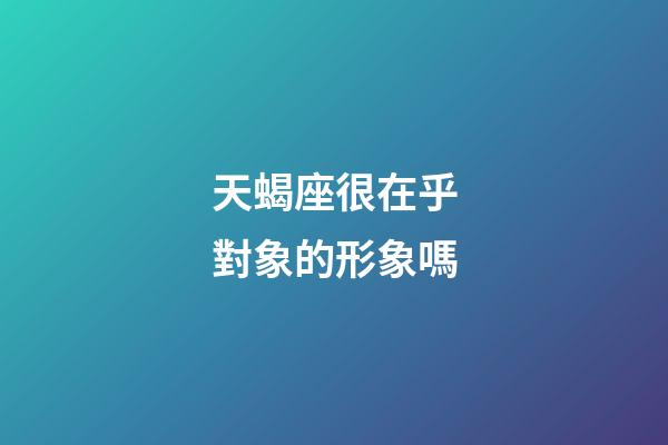 天蝎座很在乎對象的形象嗎-第1張-星座運勢-玄機派