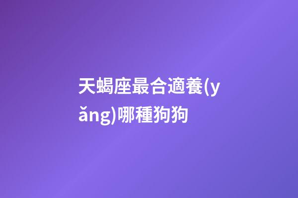 天蝎座最合適養(yǎng)哪種狗狗-第1張-星座運(yùn)勢(shì)-玄機(jī)派
