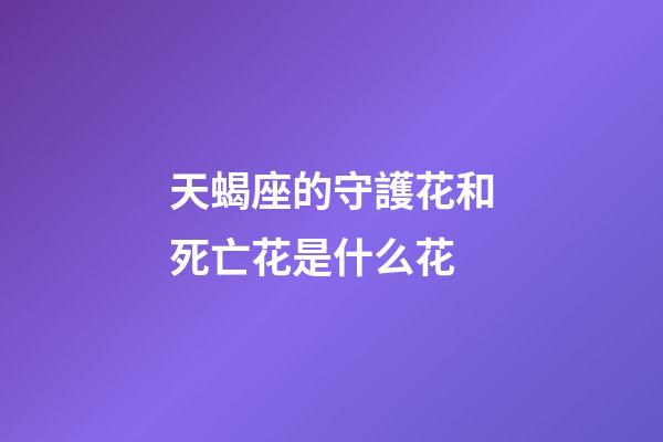 天蝎座的守護花和死亡花是什么花-第1張-星座運勢-玄機派