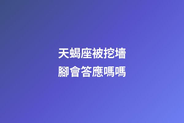 天蝎座被挖墻腳會答應嗎嗎
