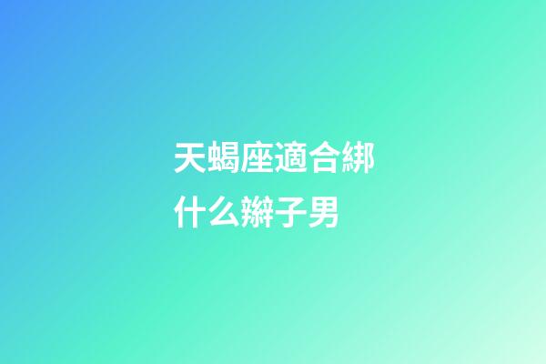 天蝎座適合綁什么辮子男-第1張-星座運勢-玄機派