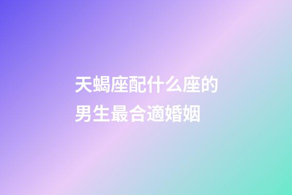 天蝎座配什么座的男生最合適婚姻-第1張-星座運勢-玄機派