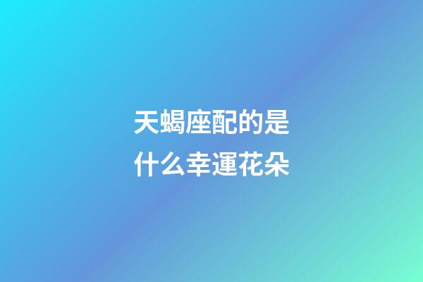 天蝎座配的是什么幸運花朵