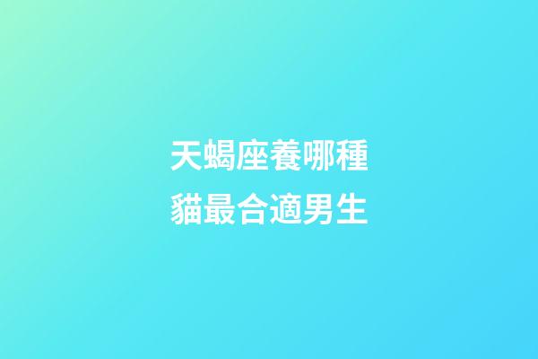 天蝎座養哪種貓最合適男生-第1張-星座運勢-玄機派