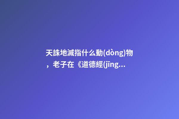 天誅地滅指什么動(dòng)物，老子在《道德經(jīng)》告訴我們