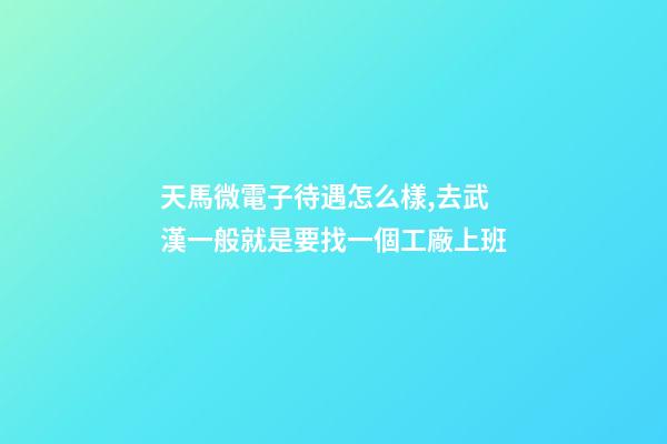 天馬微電子待遇怎么樣,去武漢一般就是要找一個工廠上班-第1張-觀點-玄機派