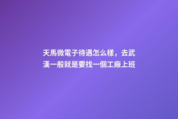 天馬微電子待遇怎么樣，去武漢一般就是要找一個工廠上班