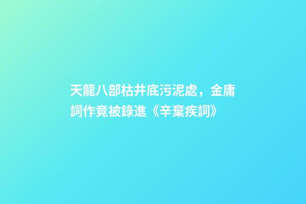 天龍八部枯井底污泥處，金庸詞作竟被錄進《辛棄疾詞》-第1張-觀點-玄機派