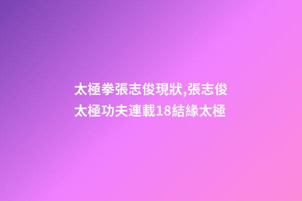 太極拳張志俊現狀,張志俊太極功夫連載18結緣太極-第1張-觀點-玄機派