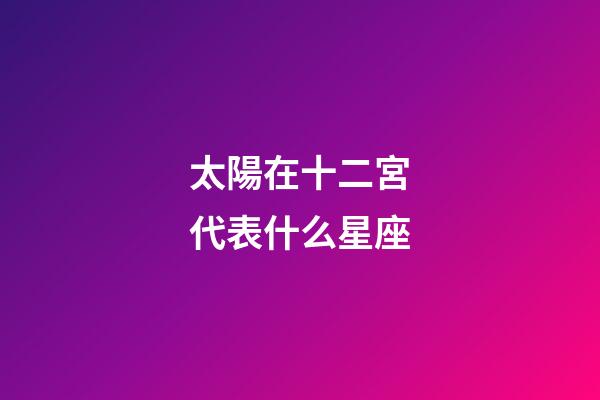 太陽在十二宮代表什么星座-第1張-星座運勢-玄機派