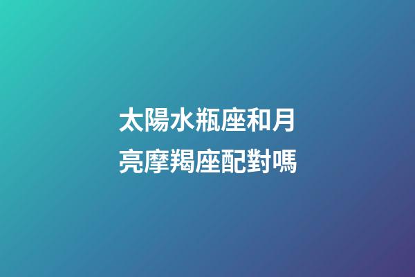 太陽水瓶座和月亮摩羯座配對嗎-第1張-星座運勢-玄機派