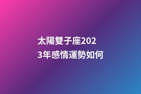 太陽雙子座2023年感情運勢如何-第1張-星座運勢-玄機派