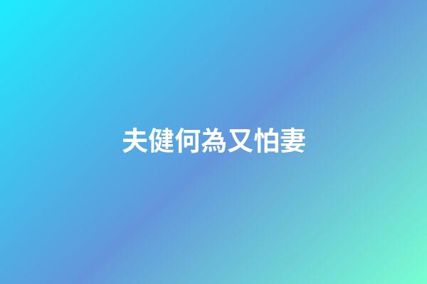 夫健何為又怕妻