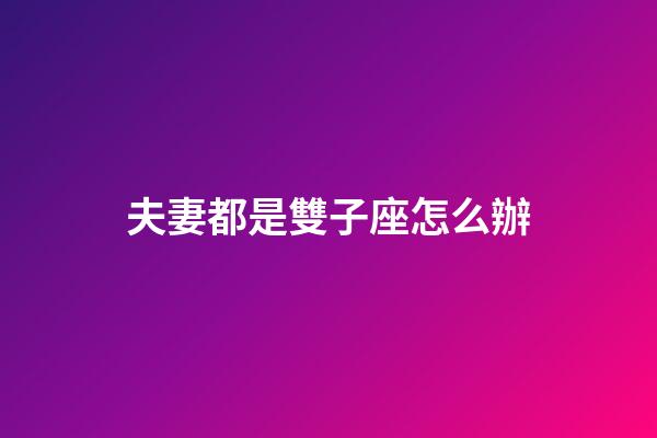 夫妻都是雙子座怎么辦-第1張-星座運勢-玄機派