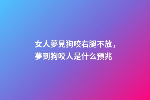 女人夢見狗咬右腿不放，夢到狗咬人是什么預兆-第1張-觀點-玄機派