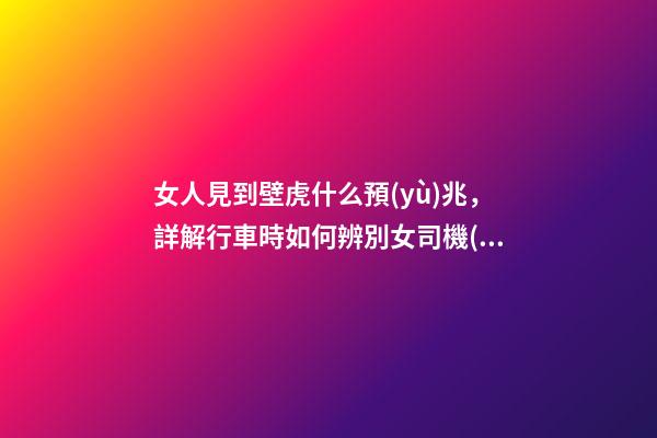 女人見到壁虎什么預(yù)兆，詳解行車時如何辨別女司機(jī)-第1張-觀點(diǎn)-玄機(jī)派
