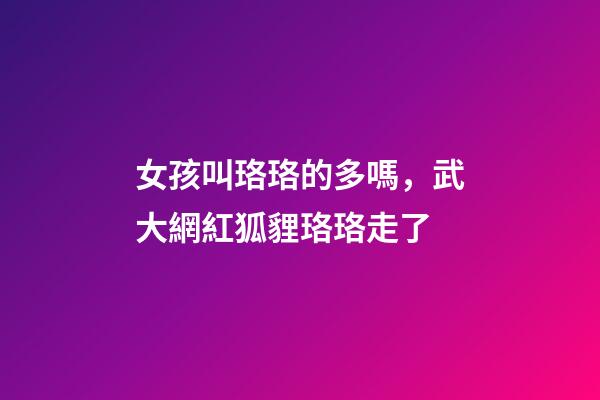 女孩叫珞珞的多嗎，武大網紅狐貍珞珞走了-第1張-觀點-玄機派