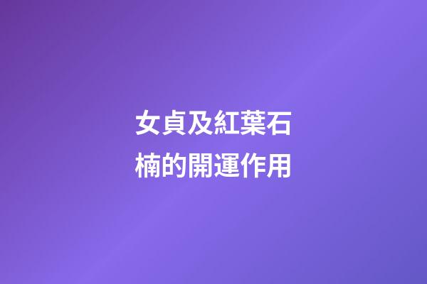 女貞及紅葉石楠的開運作用