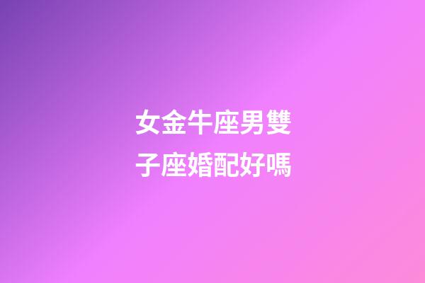 女金牛座男雙子座婚配好嗎-第1張-星座運勢-玄機派